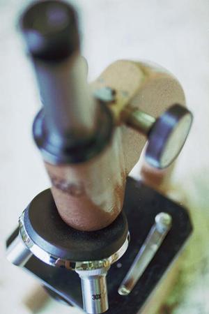 尾道市の歯科医院の紹介