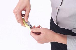 蒲田でおすすめの歯科医院とは？家族全員が安心して通えるクリニックガイド