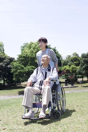 佐野市の歯科の種類と特徴について