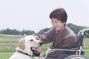 2025年最新！東村山歯医者の選び方と評判の良い歯科医院完全ガイド