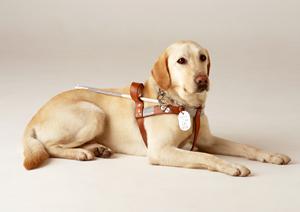 金沢文庫の内科を徹底解説！2025年最新情報と選び方ガイド