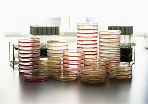 地域の人に寄り添って治療をしている内科