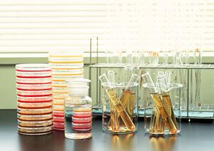 阿佐ヶ谷で評判の歯医者を徹底比較!2026年最新版のベスト選びガイド