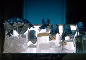 熊本で評判の矯正歯科徹底比較！最新治療法と費用・評判まとめ【2025年版】